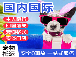 长沙航空空运国际宠物托运 【国